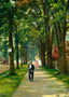 Looking Down Kemble Street, Lenox, Massachusetts in 1906 Art Print (7 Sizes)