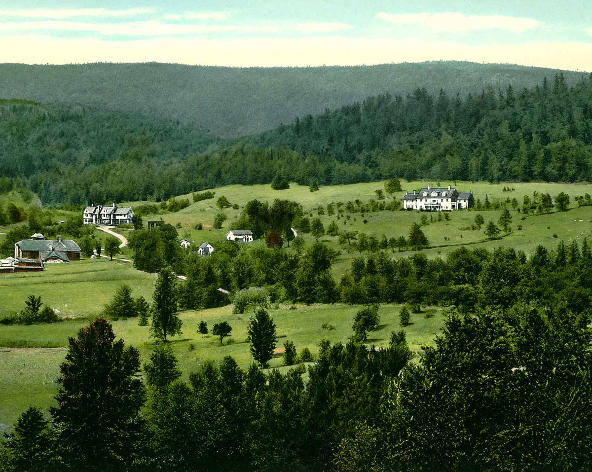Overlooking Golf Links