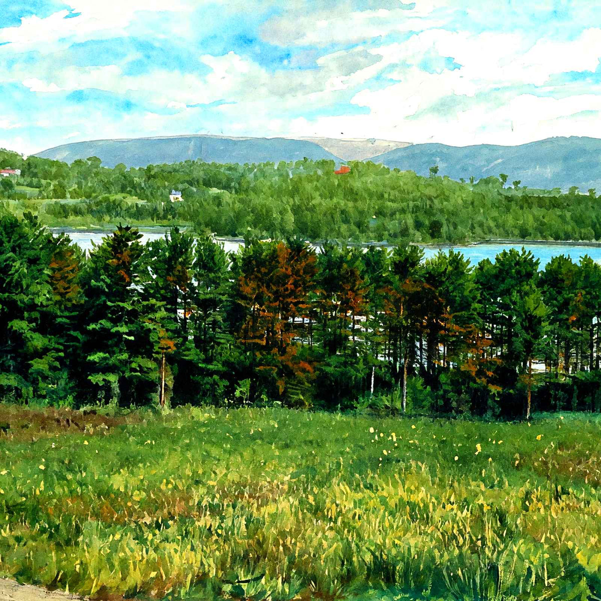 Overlooking Laurel Lake, Lenox, Massachusetts in 1906 Art Print (7 Sizes)