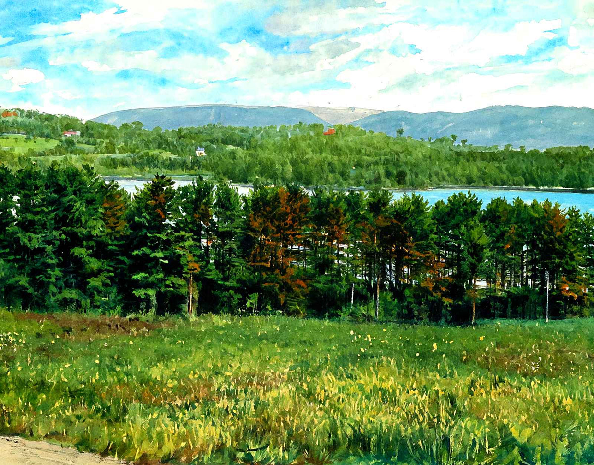 Overlooking Laurel Lake, Lenox, Massachusetts in 1906 Art Print (7 Sizes)