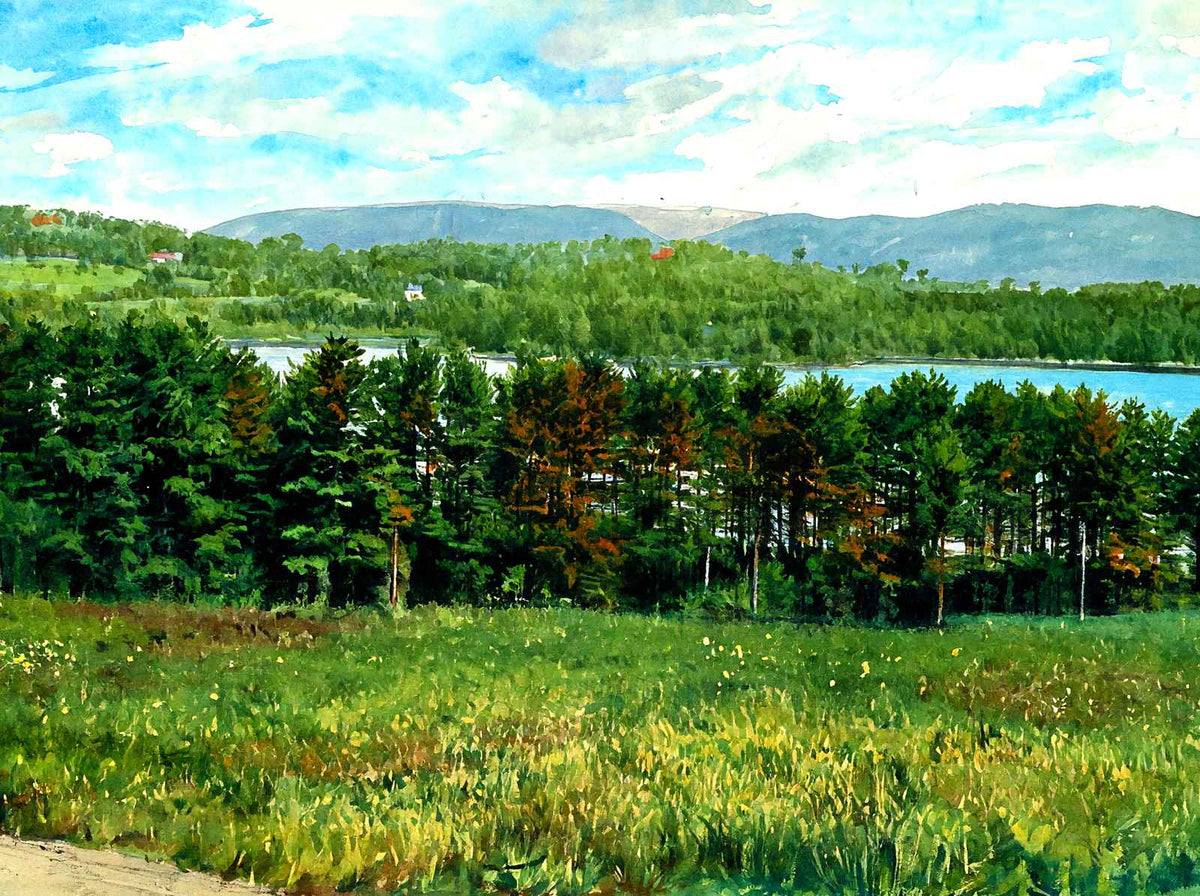 Overlooking Laurel Lake, Lenox, Massachusetts in 1906 Art Print (7 Sizes)