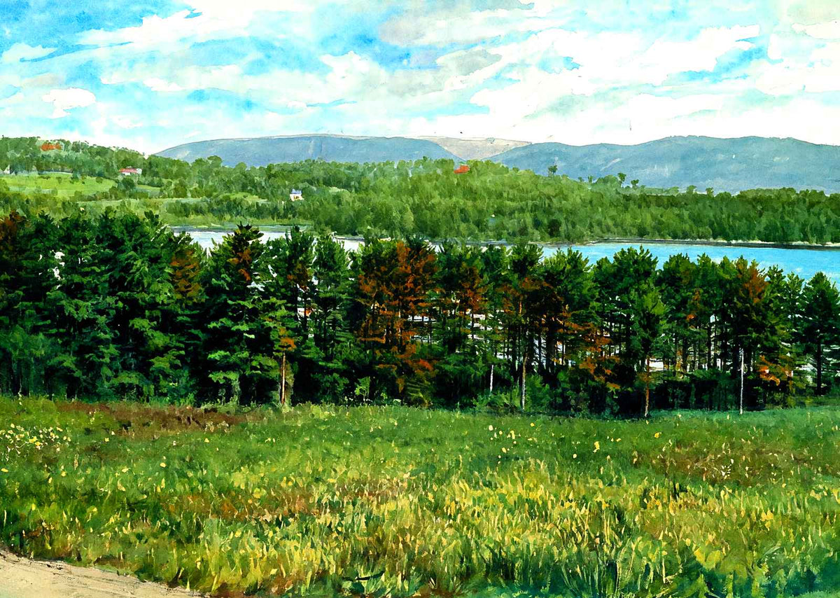 Overlooking Laurel Lake, Lenox, Massachusetts in 1906 Art Print (7 Sizes)