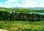 Overlooking Laurel Lake, Lenox, Massachusetts in 1906 Art Print (7 Sizes)