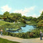 Lily Pond Lincoln Park Chicago in 1905 Vintage Print (7 Sizes)