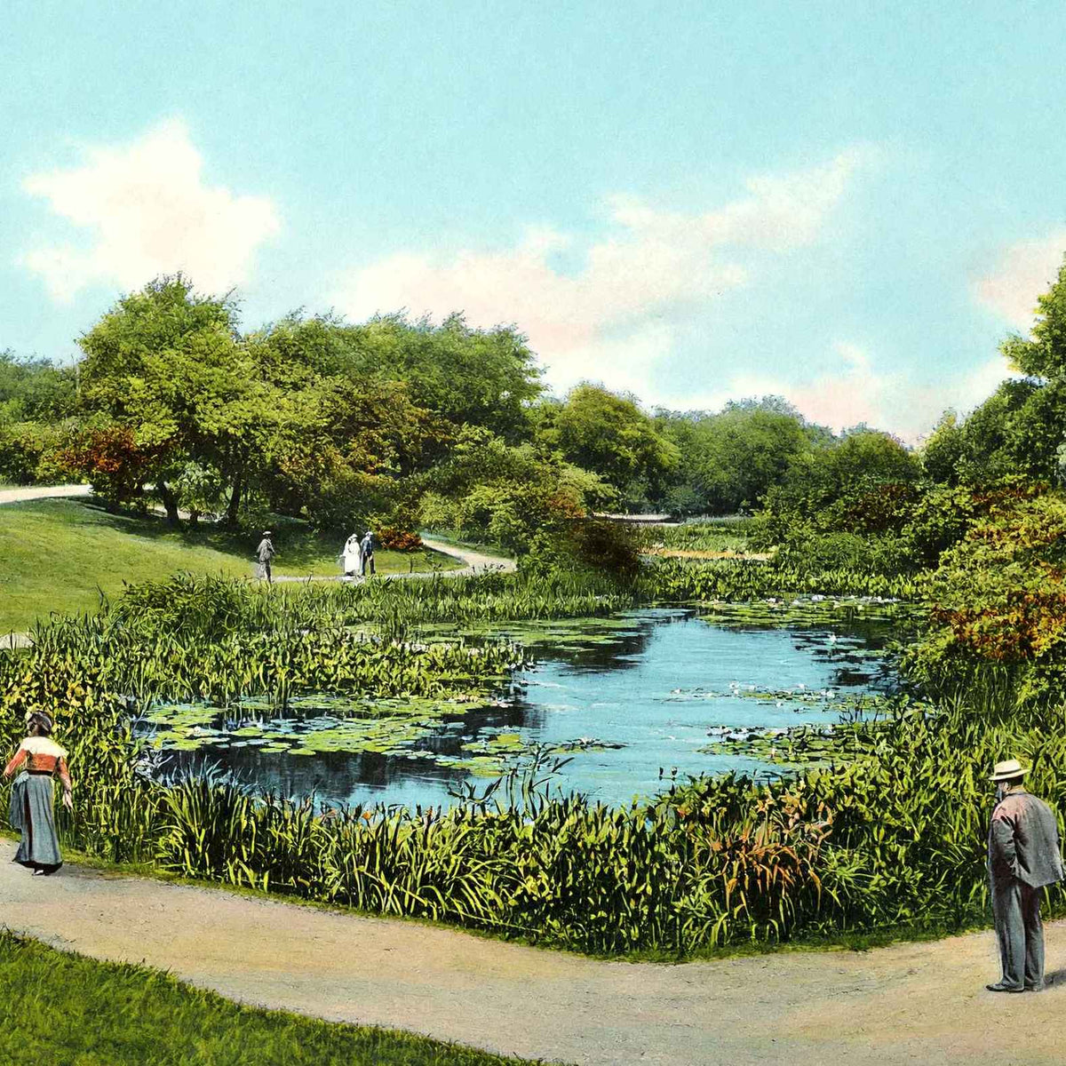 Lily Pond Lincoln Park Chicago in 1905 Vintage Print (7 Sizes)