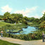 Lily Pond Lincoln Park Chicago in 1905 Vintage Print (7 Sizes)