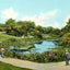 Lily Pond Lincoln Park Chicago in 1905 Vintage Print (7 Sizes)