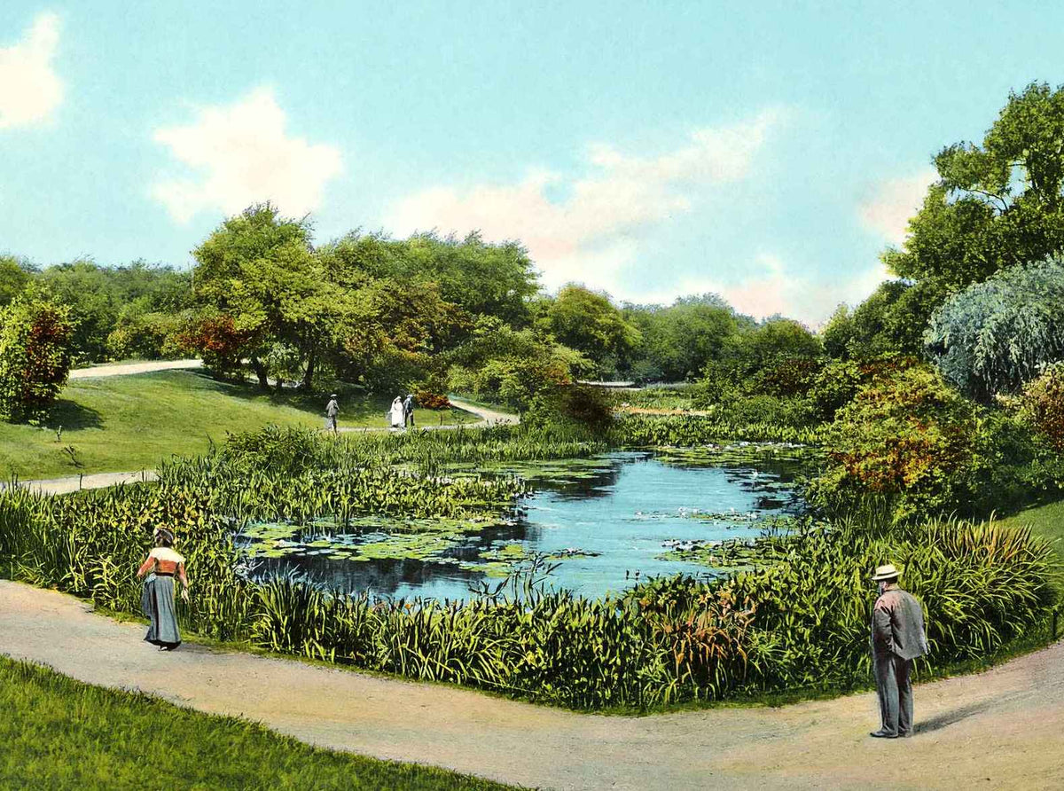 Lily Pond Lincoln Park Chicago in 1905 Vintage Print (7 Sizes)