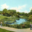 Lily Pond