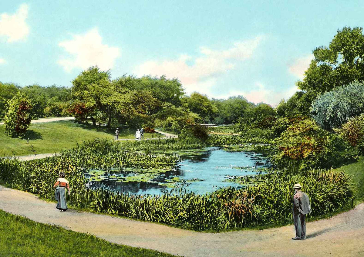 Lily Pond Lincoln Park Chicago in 1905 Vintage Print (7 Sizes)