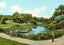 Lily Pond Lincoln Park Chicago in 1905 Vintage Print (7 Sizes)