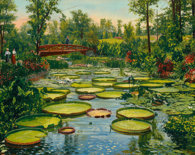 Lily Pond