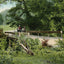 Lindsey Hollow Waco in 1905 Vintage Print (7 Sizes) - High Quality
