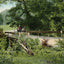 Lindsey Hollow Waco in 1905 Vintage Print (7 Sizes) - High Quality