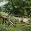 Lindsey Hollow