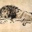 Lion Resting art print by Rembrandt (1652)