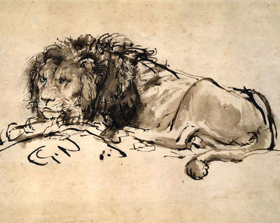 Lion Resting art print by Rembrandt (1652)