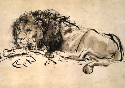 Lion Resting Art Print 1652 Painting by Rembrandt (2 Sizes) - Premium Quality