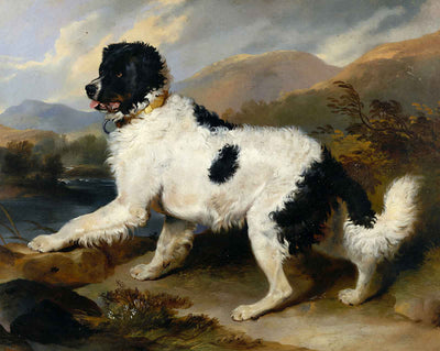 Lion - A Newfoundland Dog art print by Edwin Landseer