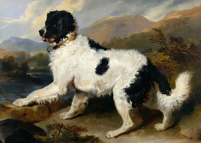 Lion - A Newfoundland Dog Art Print Painting by Edwin Landseer (6 Sizes)