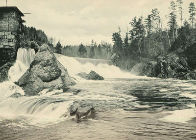Livermore Falls Plymouth NH in 1905 Vintage Print (7 Sizes) - Archival Paper