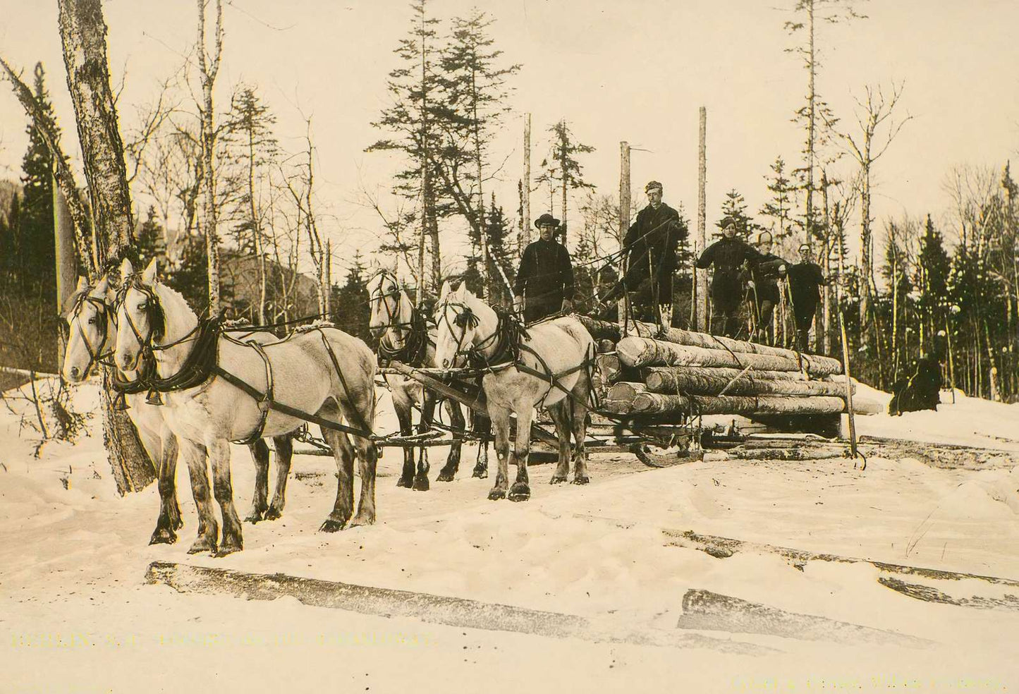 Logging on the Magalloway