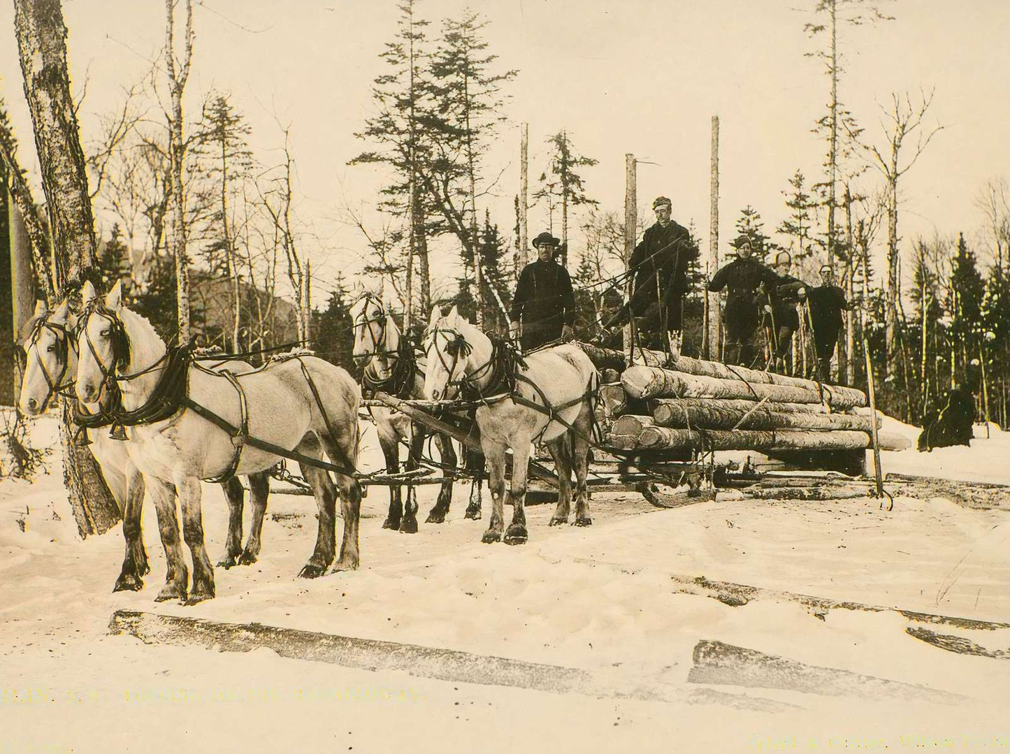 Logging on the Magalloway Berlin NH in 1905 Vintage Print (7 Sizes)