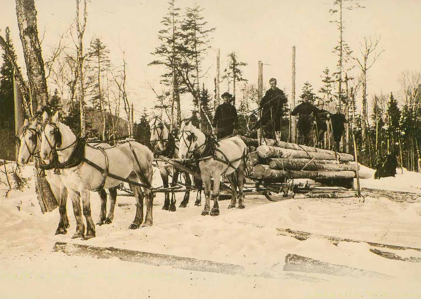 Logging on the Magalloway Berlin NH in 1905 Vintage Print (7 Sizes)