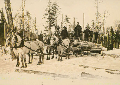 Logging on the Magalloway Berlin NH in 1905 Vintage Print (7 Sizes)