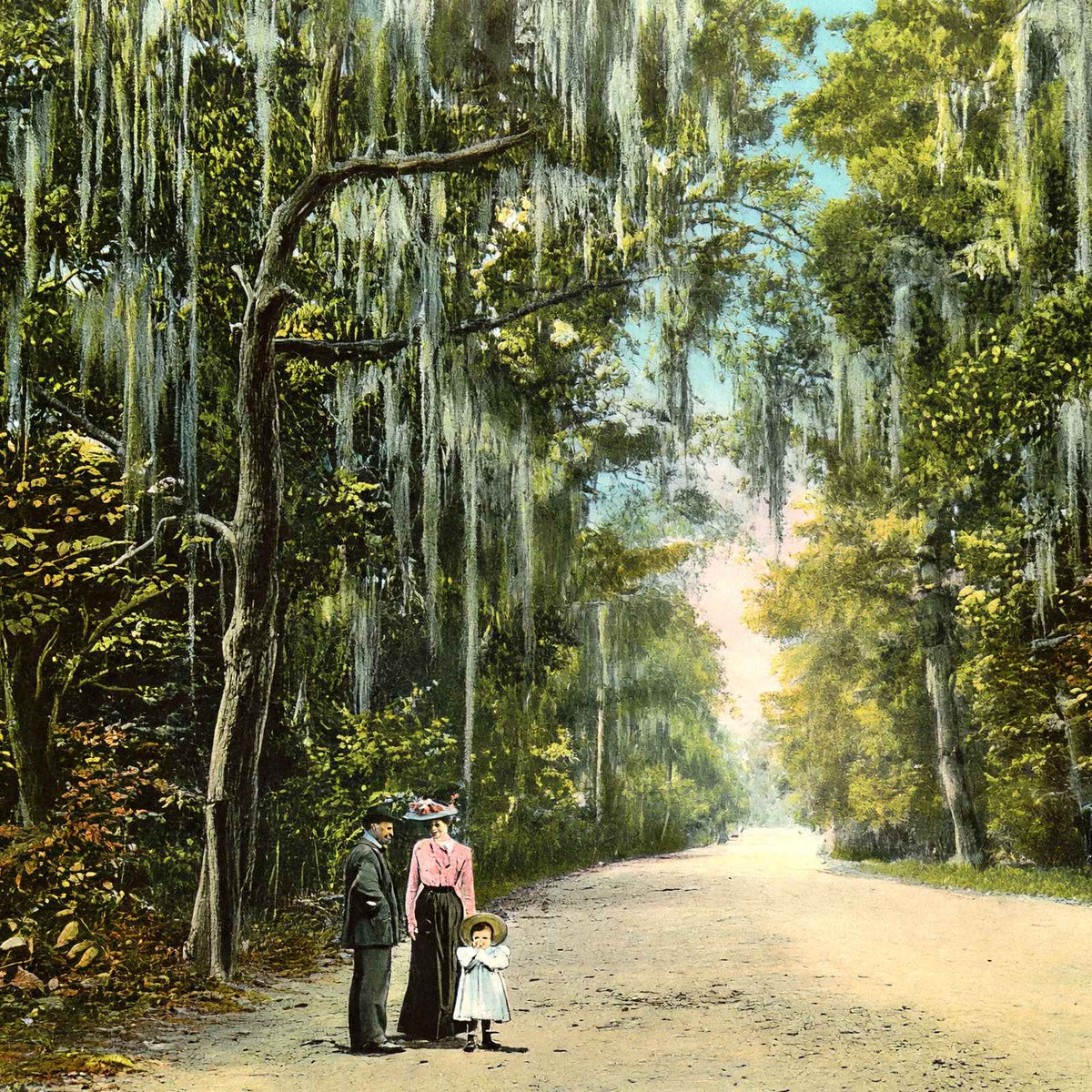 Lovers' Lane Mobile Alabama in 1905 Vintage Print (7 Sizes) - Enhanced