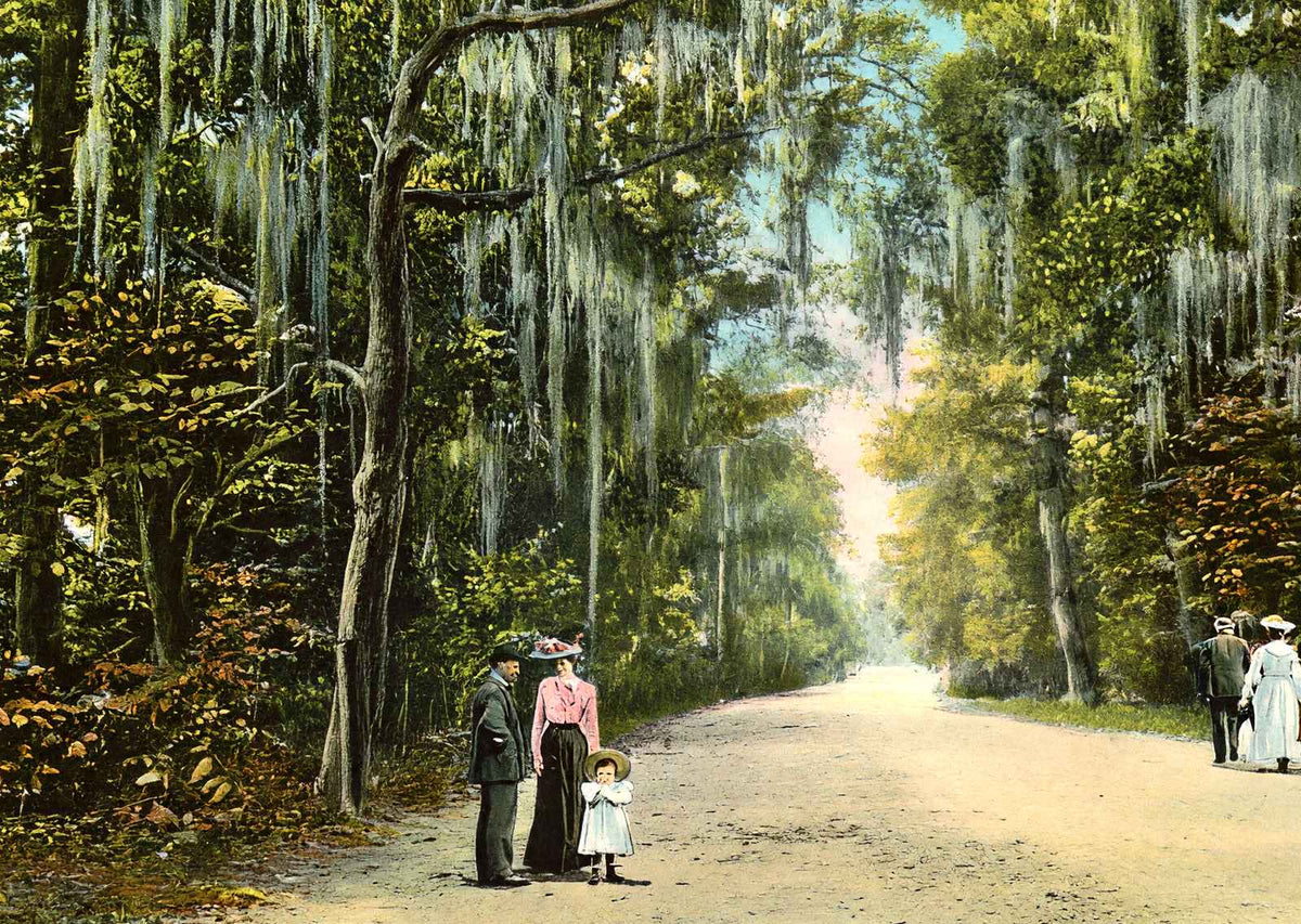 Lovers' Lane Mobile Alabama in 1905 Vintage Print (7 Sizes) - Enhanced