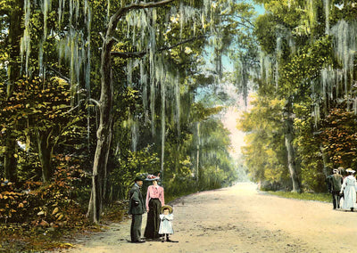 Lovers' Lane Mobile Alabama in 1905 Vintage Print (7 Sizes) - Enhanced