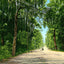 Lovers' Lane