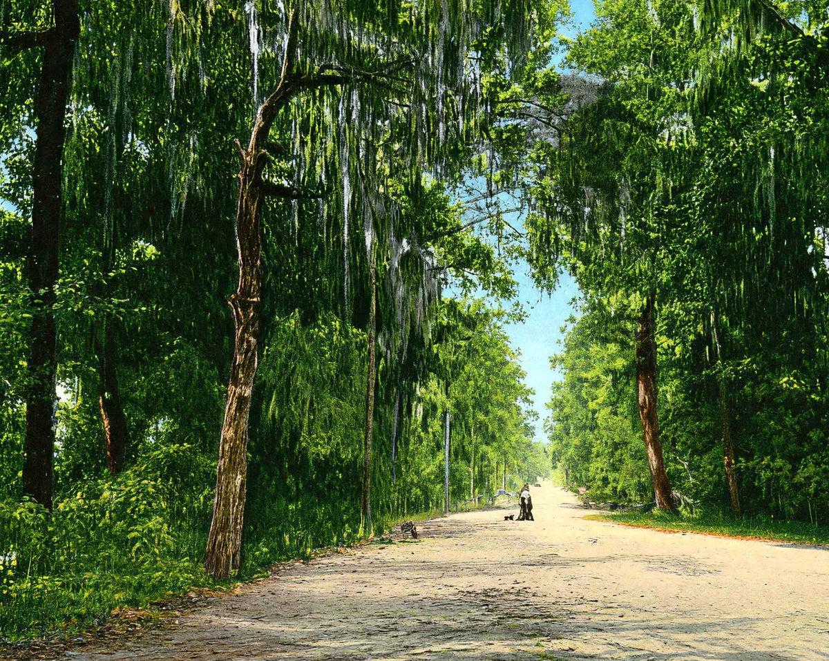 Lovers' Lane