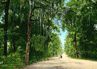 Lovers' Lane Mobile Alabama in 1906 Vintage Print (7 Sizes) - Retouched