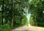 Lovers' Lane Mobile Alabama in 1906 Vintage Print (7 Sizes) - Retouched