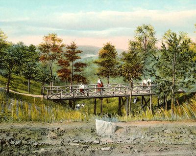 Glen Near Randolph-Macon Woman's College vintage print