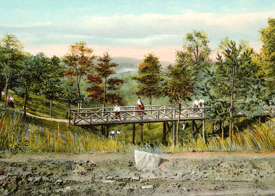 Glen Near Randolph-Macon Woman's College in 1907 Vintage Print (7 Sizes)