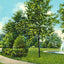 Madison Park Quincy Illinois in 1908 Vintage Print (7 Sizes) - Shipped Flat