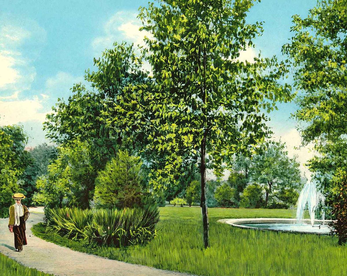 Madison Park in Quincy in 1908 vintage print