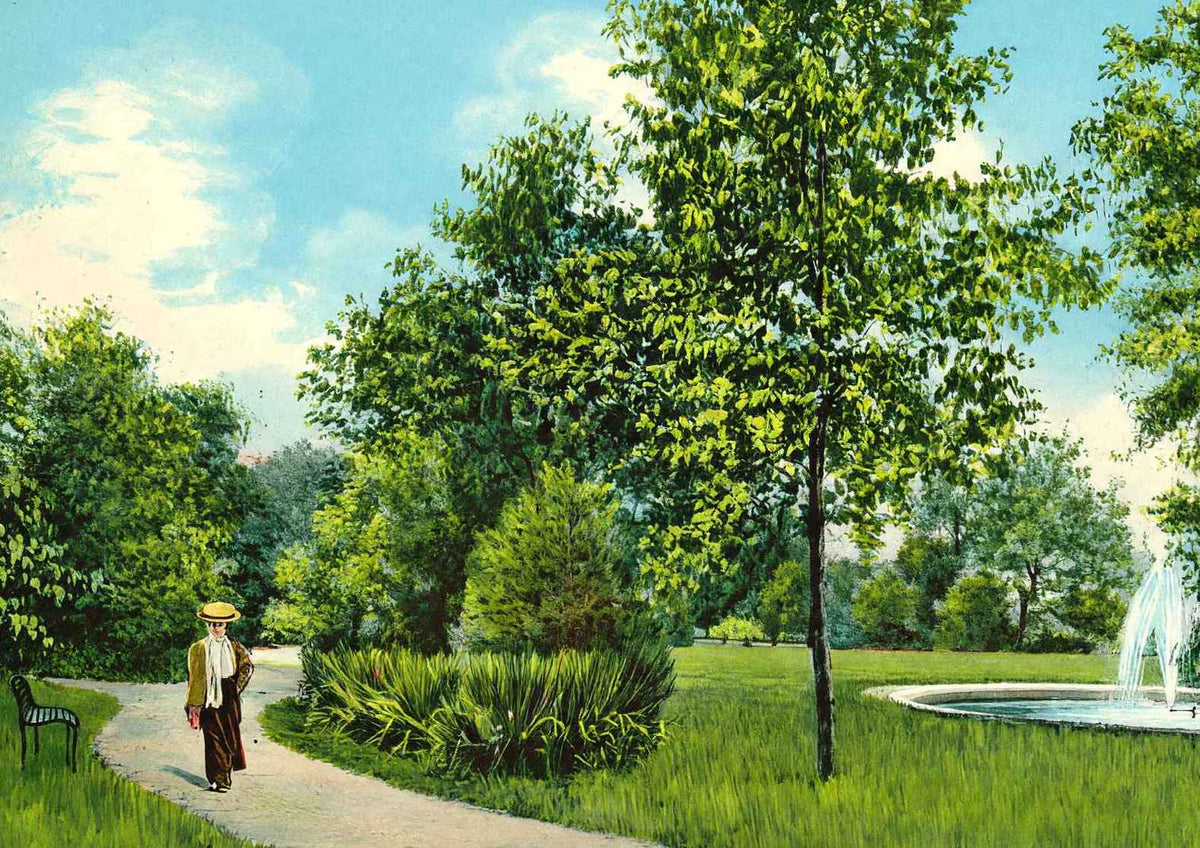 Madison Park Quincy Illinois in 1908 Vintage Print (7 Sizes) - Shipped Flat