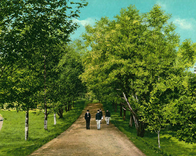 Main Promenade Virginia Polytechnic Institute vintage print