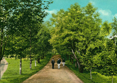Main Promenade Virginia Polytechnic Institute in 1909 Vintage Print (7 Sizes)