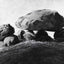 Megalithic Grave 1837 Painting by Caspar David Friedrich Art Print (6 Sizes)