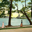 Meyers Lake Canton Ohio in 1907 Vintage Print (7 Sizes) - Premium Print