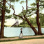 Meyers Lake Canton Ohio in 1907 Vintage Print (7 Sizes) - Restored