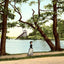 Meyers Lake Canton Ohio in 1907 Vintage Print (7 Sizes) - Restored