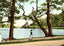Meyers Lake Canton Ohio in 1907 Vintage Print (7 Sizes) - Restored