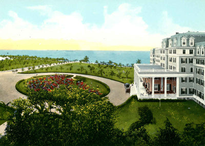 Royal Palm and Biscayne Bay Miami in 1907 Vintage Print (7 Sizes) - Acid Free