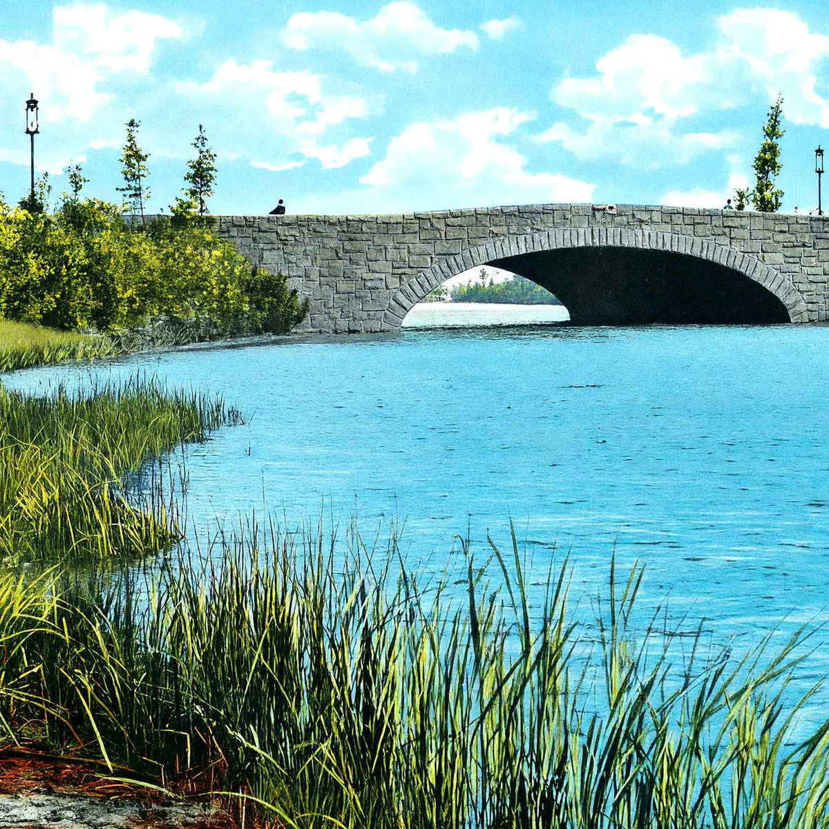 Middle Bridge Jackson Park Chicago in 1905 Vintage Print (7 Sizes)